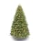 7.5ft. Pre-Lit Douglas Fir Premier Artificial Christmas Tree, Clear Lights
